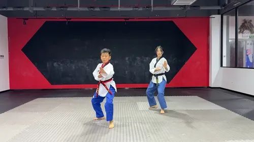 在跆拳道领域，2025年的“少年强”全国线上系列